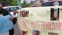Bloquean avenida Universidad como protesta por vecina de Puerto Esmeralda con perros agresivos