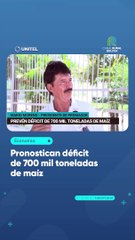 Pronostican déficit de 700 mil toneladas de maíz