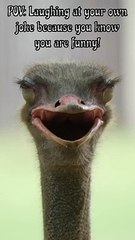 Laughing at your own joke