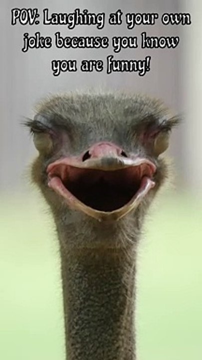 Laughing at your own joke