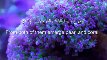 Surah Ar-Rahman heart melting voice️ Soothing Quran Recitation.