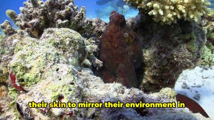 5 Mind-Blowing Facts About Octopus