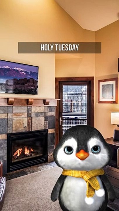 Holy Tuesday