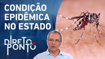 “Para cada 100 mil pessoas em SP, 300 estão com dengue”, diz Gorinchteyn | DIRETO AO PONTO