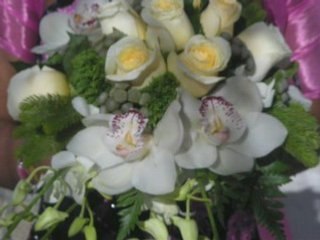 Recopilacion mi taller 15