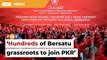 Expect hundreds of Bersatu grassroots members to join PKR, says source