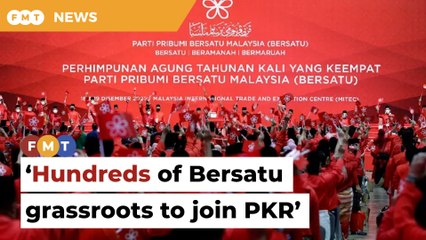 Expect hundreds of Bersatu grassroots members to join PKR, says source