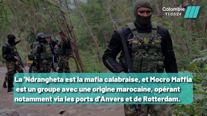 Capture Explosive: Arrestation d'un Baron de la Drogue