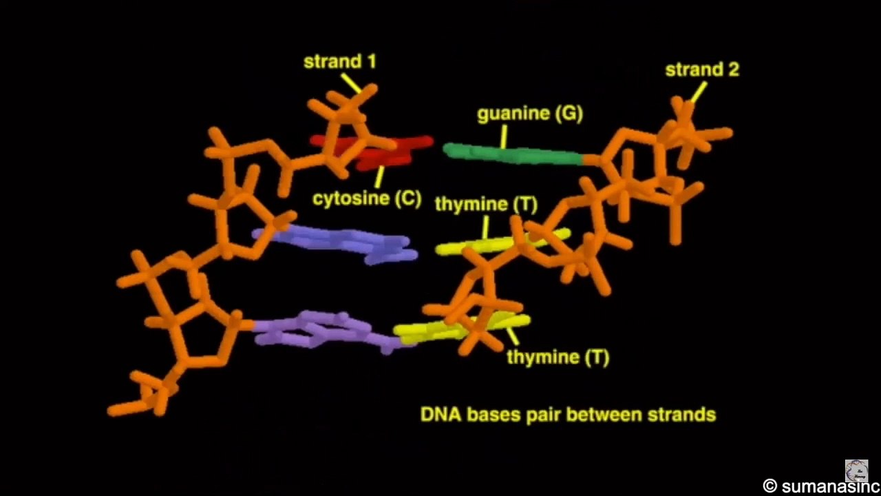 Macromolecules Part 9.