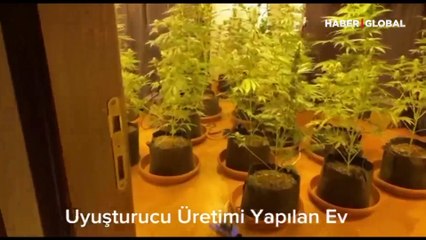 Mahzen operasyonlarında 6 suç örgütü daha çökertildi