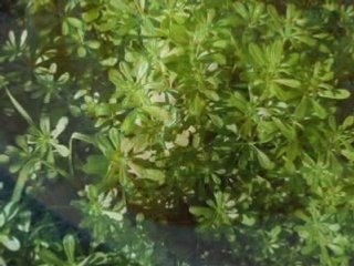 Recopilacion mi taller 16