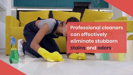 Unlock the Advantages: Why Carpet Cleaning Services are a Smart Investment