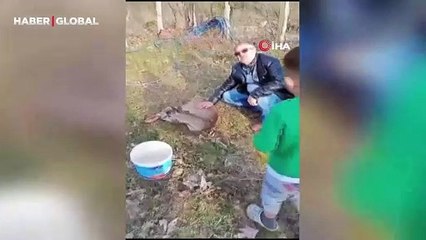 Karabük'te şaşırtan anlar: Bahçesinde bitkin halde böyle buldu!