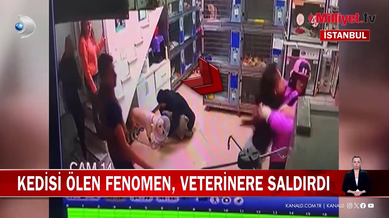 Veterinerde Kedimize Aşı Yaptık Kedi Delirdi Keşke Baştan çekseydim. 