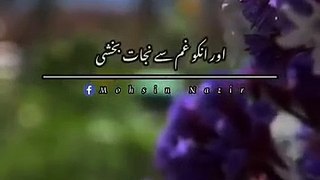 طالب_کرم_نوید_سلطان_نجیبی(360p)