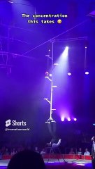 Super Talented  ‼️ 100% Pure Focus #shorts #shortsvideo #video #viral #innovationhub