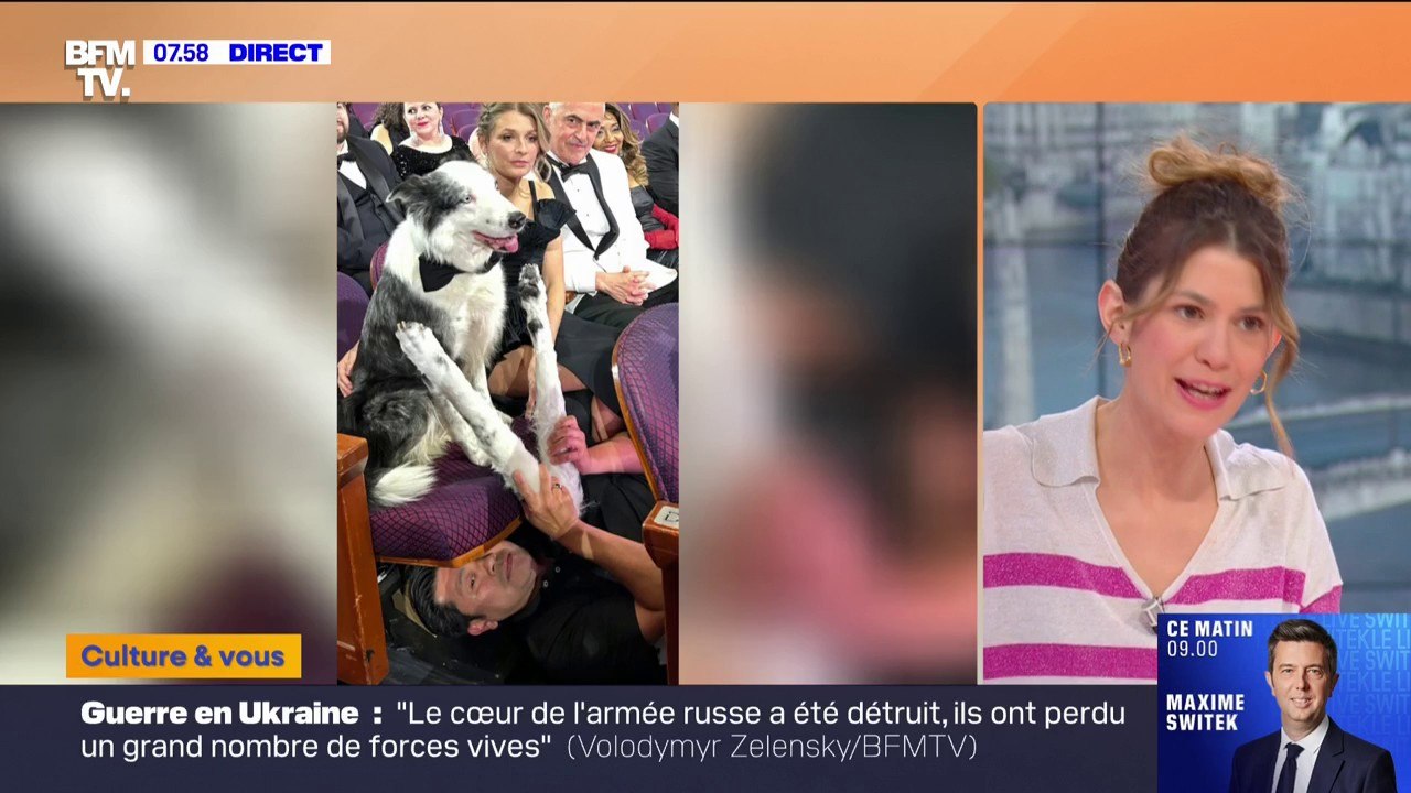 Messi, le chien du film "Anatomie d'une chute", n'a pas vraiment applaudi aux Oscars