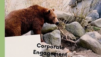 Lola Korneevets Share 5 Effective Strategies for Animal Rights Campaigns