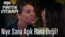 Niye sana aşık bana değil! - Aşk Mantık İntikam