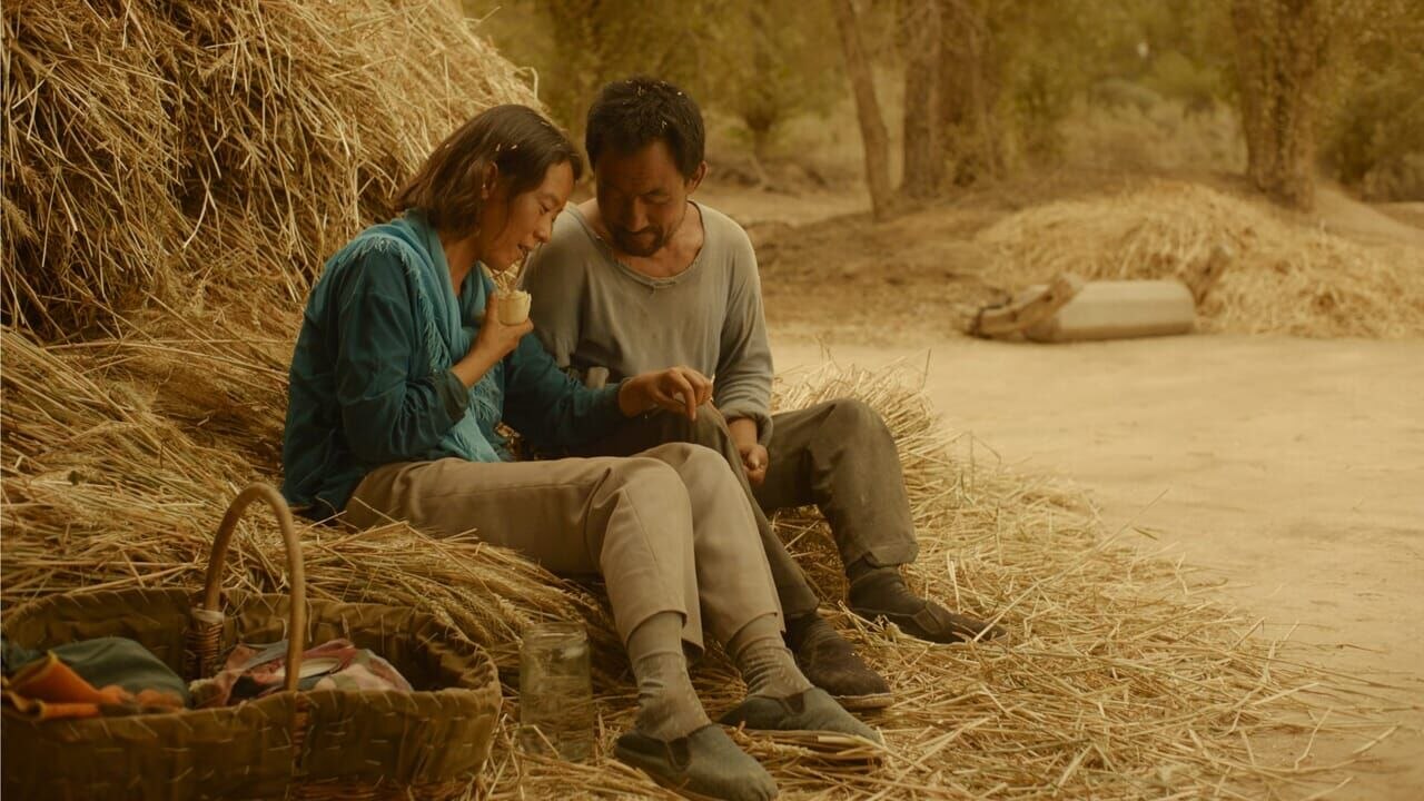 Le Retour des hirondelles vidéo bande annonce