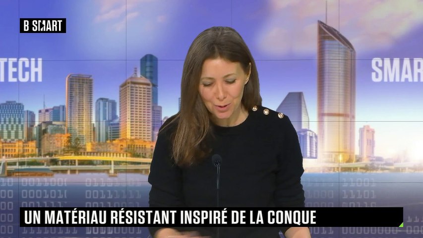 Un matériau très résistant inspiré de la conque
