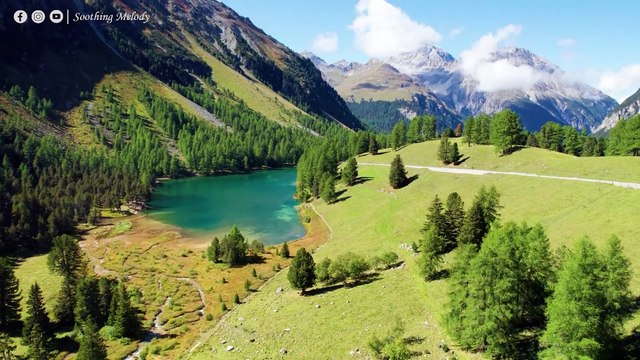 ВОССТАНОВЛЕНИЕ НЕРВНОЙ СИСТЕМЫ Нежная музыка успокаивает нервную систему и радует душу #11