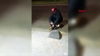 Böyle vicdansızlık görülmedi! Elektrik kaçağını test etmek için köpeği fırlattı