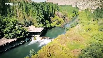 Devletin hizmet eliyle Nusaybin'e huzur hakim