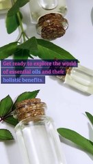 Exploring Essential Oils for Holistic Wellness
