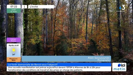 Le photographe qui murmure à l'oreille de la forêt de Bercé
