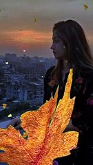 Achol Akhi Sad Reels Video...