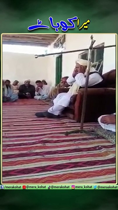 funnyMolvi