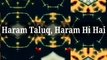 Haram Taluq, Haram Hi Hai #islam #allah #muslim #islamicquotes #quran #muslimah #allahuakbar #deen #dua #makkah #sunnah #ramadan #hijab #islamicreminders #prophetmuhammad #islamicpost #love #muslims #alhamdulillah #islamicart #jannah #instagram #muhammad