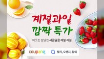 [기업] 쿠팡 로켓프레시, 딸기·오렌지·참외 450톤 최대 30% 할인 / YTN