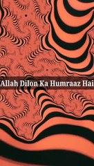 Allah Dilon Ka Humraaz Hai #islam #allah #muslim #islamicquotes #quran #muslimah #allahuakbar #deen #dua #makkah #sunnah #ramadan #hijab #islamicreminders #prophetmuhammad #islamicpost #love #muslims #alhamdulillah #islamicart #jannah #instagram #muhammad