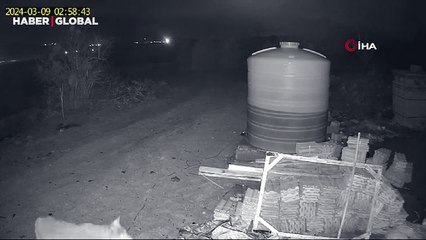 Nevşehir'de akşam vakti bir anda kadraja girdiği anlar şaşırttı!