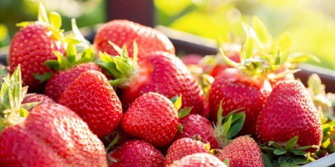 7 aliments miracles pour freiner les effets du temps après 40 ans