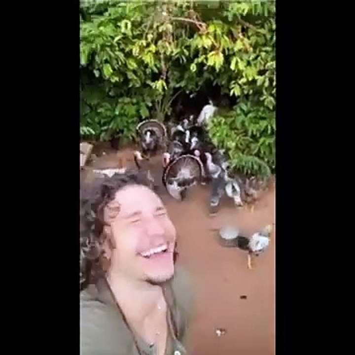 HOLDING YOUR LAUGH while Watching these Video Funniest Animals Expression Video Ever