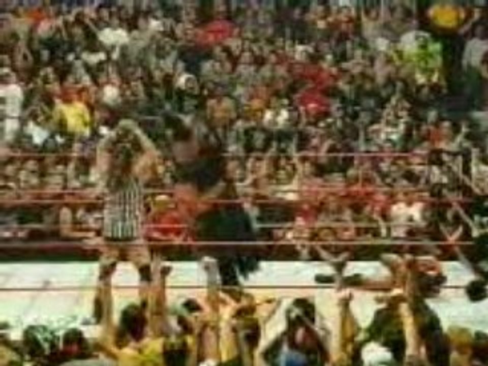 the rock vs hhh iron man match special ref hbl