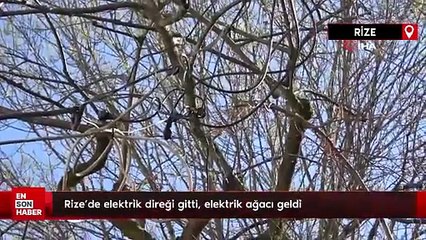Rize'de elektrik direği gitti, elektrik ağacı geldi