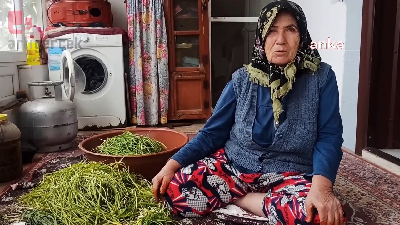 İkizköylüler, Akbelen Ormanı'ndaki yeni kamulaştırma kararına tepkili: Cumhurbaşkanı sarayında ne yiyecek?