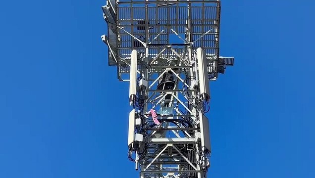 Lavoratori Gkn in protesta: striscione e fumogeni su un traliccio in Santa Maria Novella (Video New Press Photo)