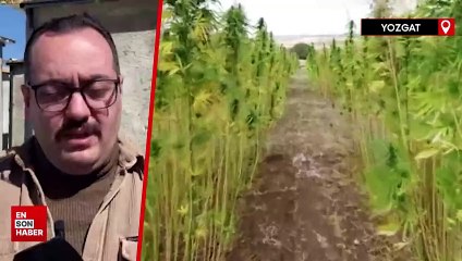 Kenevirle inşa edilen yapılar çevresel faktörlerine dayanıklı