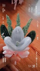 Fuzzy flowers for wedding