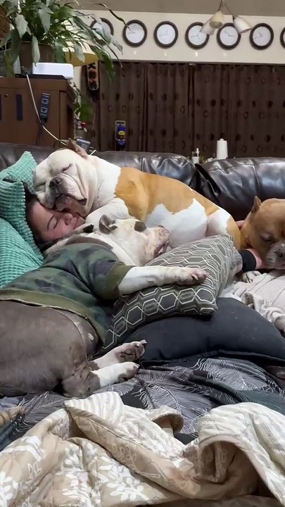 Giant Puppy Cuddle Puddle