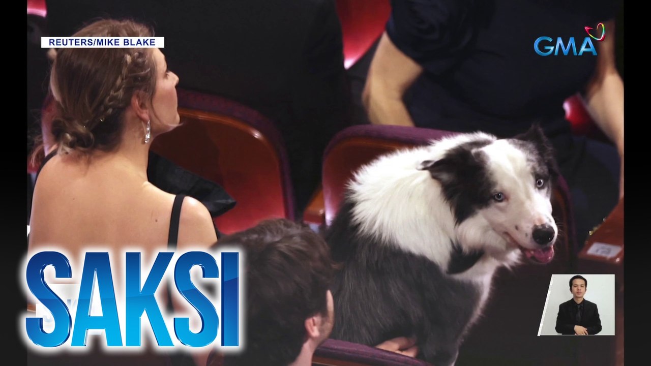 Asong si Messi ng Oscar-nominated film na "Anatomy of a Fall", agaw-eksena sa Academy Awards | Saksi