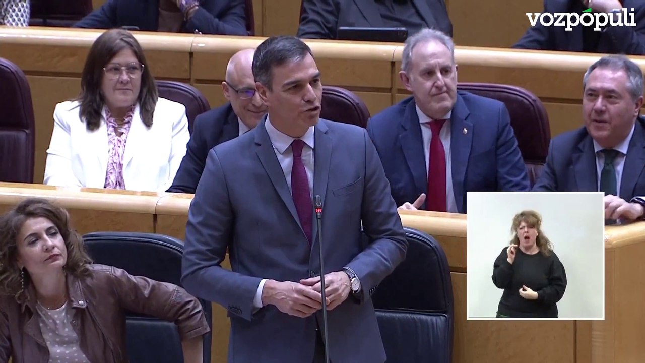 Sánchez a una senadora del PP: “Dejen de insultar la memoria de las víctimas del terrorismo"