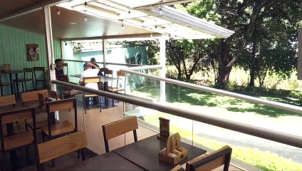 Cafetería Coopedota Pet Friendly