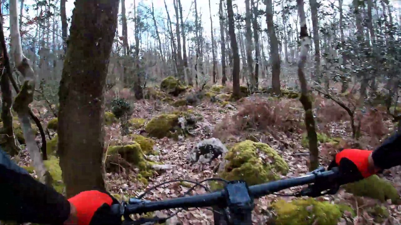 Singles humides mars en FDC