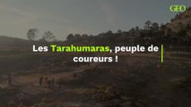 Les Tarahumaras, ces coureurs de l’extrême au Mexique